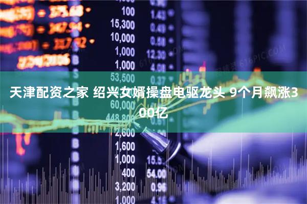 天津配资之家 绍兴女婿操盘电驱龙头 9个月飙涨300亿