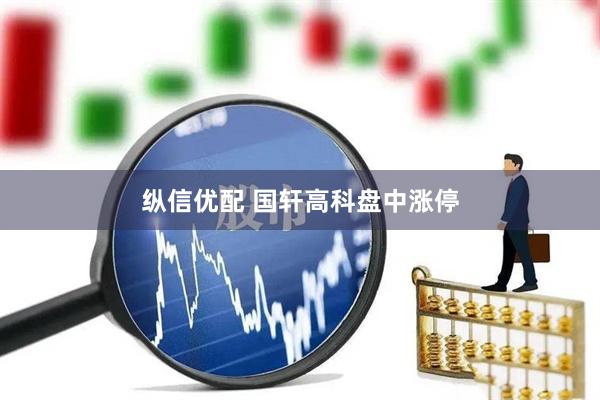 纵信优配 国轩高科盘中涨停