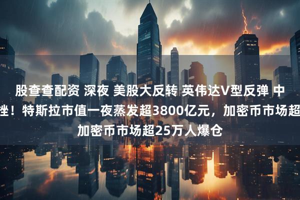 股查查配资 深夜 美股大反转 英伟达V型反弹 中概股多数下挫!特斯拉市值一夜蒸发超3800亿元,加密币市场超25万人爆仓
