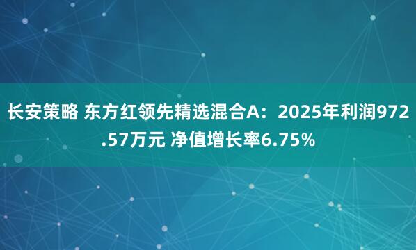 长安策略 东方红领先精选混合A:2025年利润972.57万元 净值增长率6.75%